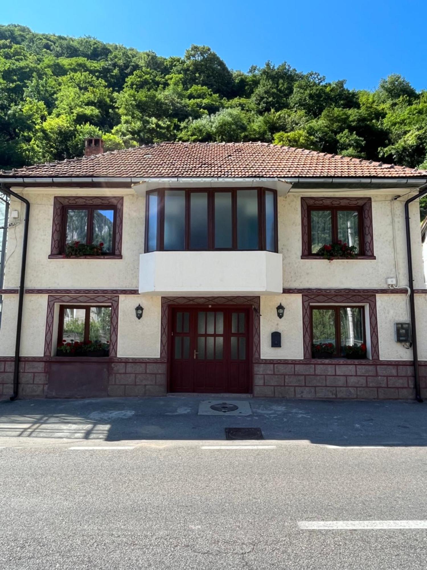 Hotel Gasthaus Vld Băile Herculane Esterno foto